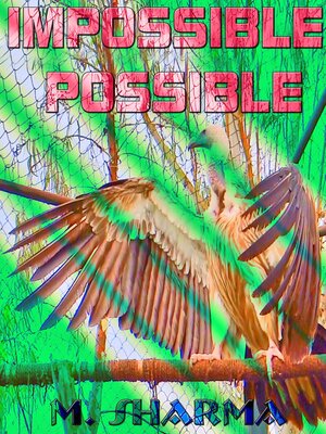 cover image of Impossible Possible
